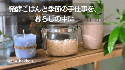 キッチンで育てている手作り塩麴