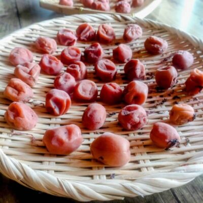 梅干し作りの完成イメージと季節の手仕事のまとめ