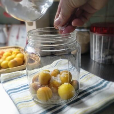 保存瓶で梅干しを仕込んでいる様子(重石なしの管理しやすい方法)