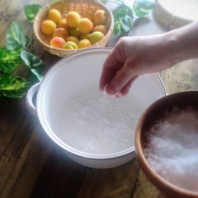 鍋を使った梅干し作りの様子(重石を使う伝統的な方法)