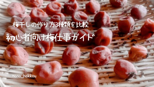 梅干し作り3種類の方法比較(ジップロック・瓶・鍋)