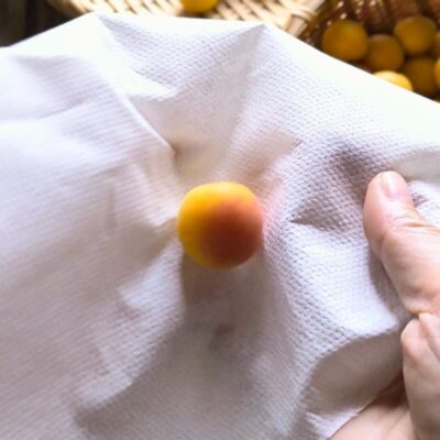 洗った完熟梅の水気をキッチンペーパーでふき取る