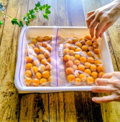 完熟梅の入ったジップロックの空気をしっかり抜いて平らにし,トレイに入れる