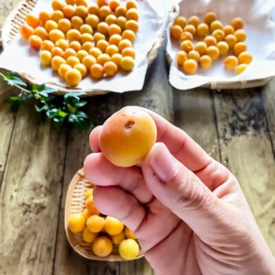 傷や痛みがある完熟梅を取り除く