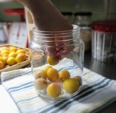 瓶で作る梅干し 仕込み工程