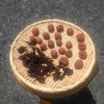 梅干しの土用干し工程