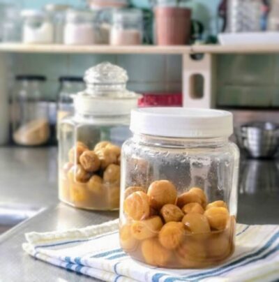 瓶で作る梅干し 10日後の状態