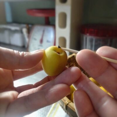 梅干し ヘタ取り作業