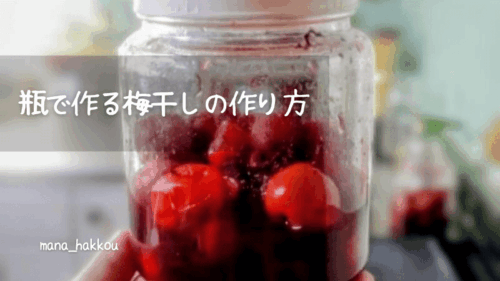 タイトル写真 瓶で作る梅干しの作り方