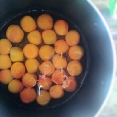 鍋で作る梅干しの梅酢が上がった状態