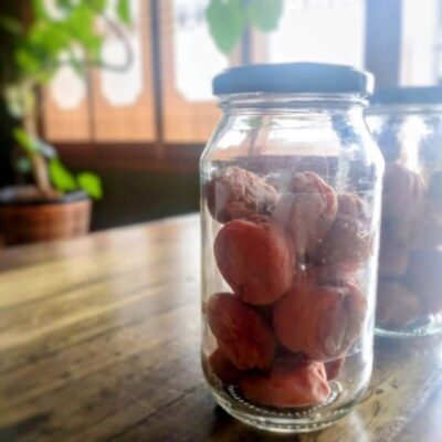 土用干しを終えた完成した梅干し