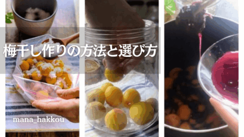 ジップロック・瓶・鍋で作る梅干しの比較イメージ