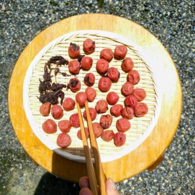 ざるに並べて土用干ししている梅干し