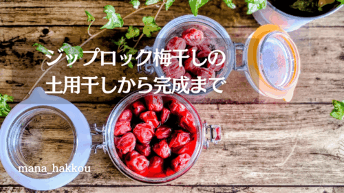 梅酢ありと梅酢なしで保存した2瓶の自家製梅干し