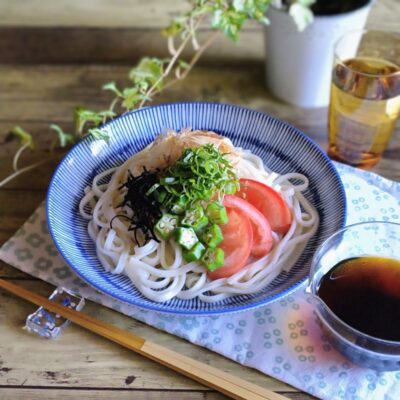 手作りめんつゆを添えた冷やしうどん